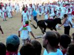 Pamplona 2010