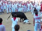 Pamplona 2010