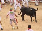 Pamplona 2012