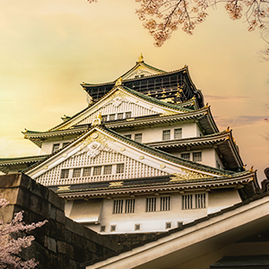 mid tour options mid tour itineraries osaka we love rugby