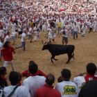 Pamplona - Running of the Bulls 2007