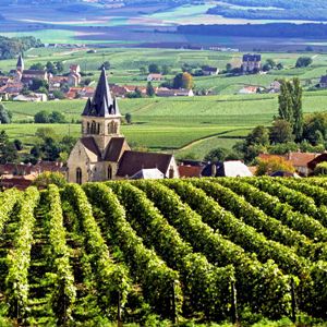 RWC 2023 - Agriculture Tour Hotels