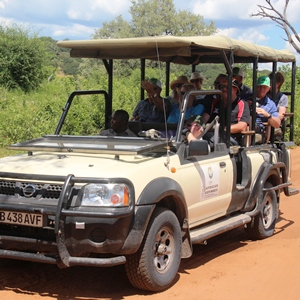 South Africa Tour Hotels - Premium